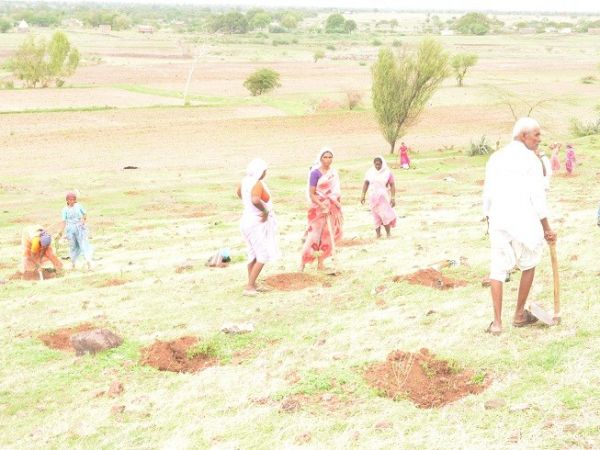 Tree Transplantation